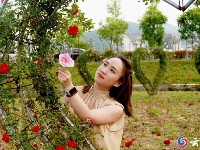 赏花图鉴来了，快来邂逅这场似锦“繁花”