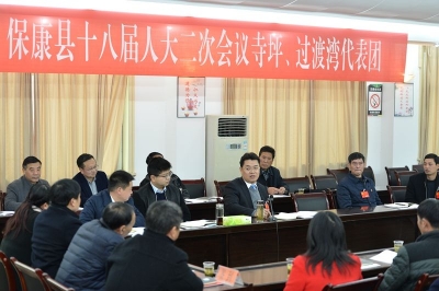 张世伟参加县十八届人大二次会议代表团分团审议