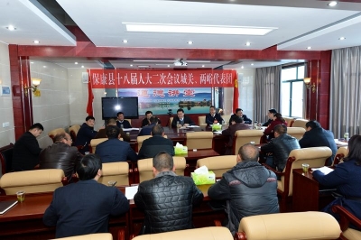 张世伟参加城关两峪和县直代表团审议