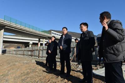 张世伟调研督办城区大绿化和查违拆违工作