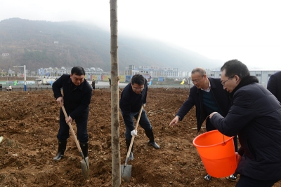 县“四大家”领导集体参加义务植树活动