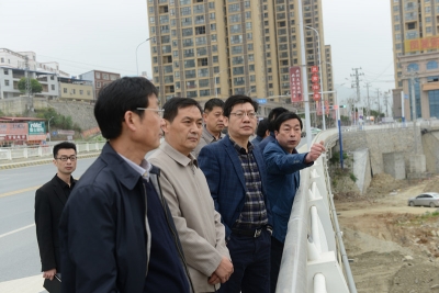刘明锋调研督办城区大绿化工作