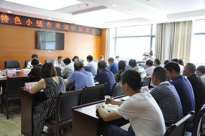 市规划局调研保康特色小镇建设工作