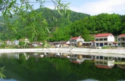 杨彪到保康调研精准扶贫和乡村振兴等工作