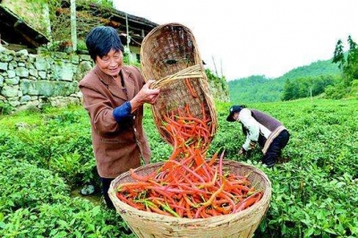 县政协召开十届十二次主席会议