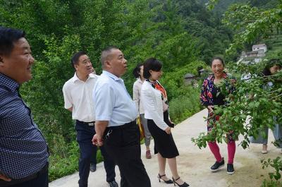 胡和平到保康参加人大代表主题实践活动