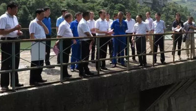 李乐成调研南河流域碧水保卫战“清流行动”工作推进情况
