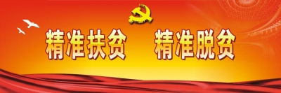 岳兴平深入保康县西邦村调研督办精准脱贫工作