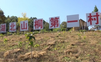【城关镇】 保康县云溪山桐合作社获评“全国巾帼脱贫示范基地”