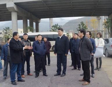 张世伟调研督办城区大绿化工作