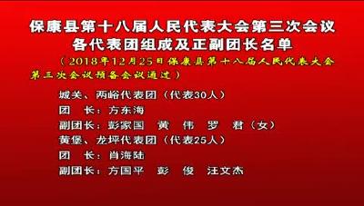 保康县第十八届人民代表大会第三次会议各代表团组成及正副团长名单