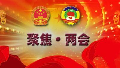 王宗惠参加城关两峪代表团审议