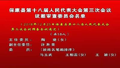 保康县第十八届人民代表大会第三次会议议案审查委员会名单