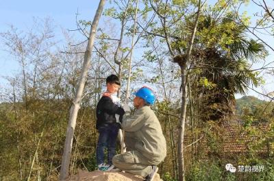 保电护鸟！保康电网员工化身幼鸟“奶爸”……