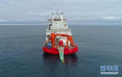 “雪龙2”号在南极“捕获”一批珍贵鱼类样品