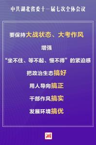 海报丨好！正！实！优！湖北省委十一届七次全会对干部提出要求