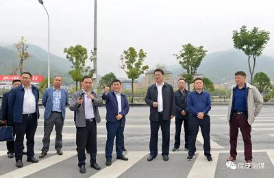 张世伟调研督办城区大绿化工作 