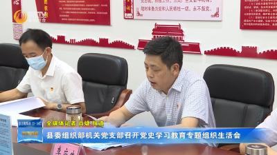 县委组织部机关党支部召开党史学习教育专题组织生活会