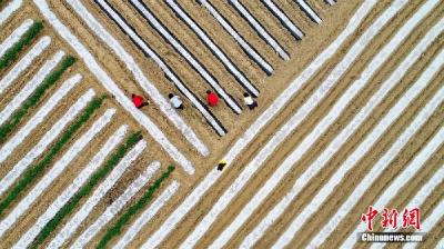 第三次全国国土调查：2019年末全国耕地19.18亿亩