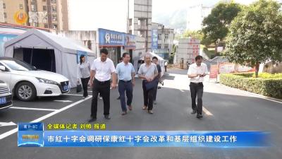 市红十字会调研保康县红十字会改革和基层组织建设工作