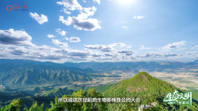 【生态文明专家谈】守护生物多样性之美