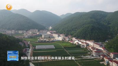 【学讲话 谱新篇·书记谈】打造高山避暑旅游小镇  建设美丽幸福新龙坪