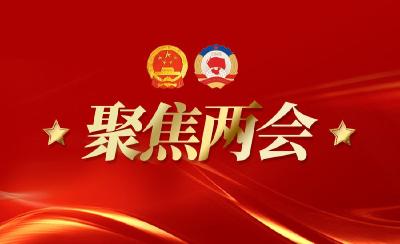 人大代表分团审议关于保康县人民政府工作报告的决议等7个报告决议（草案）