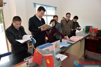  张世伟在龙坪镇调研