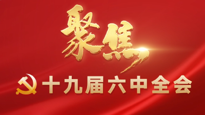 县林业局集中学习党的十九届六中全会精神