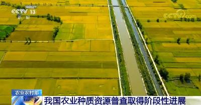农业农村部：我国农业种质资源普查取得阶段性进展