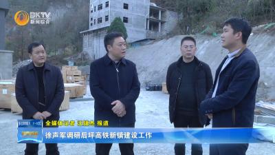 徐声军调研后坪高铁新镇建设工作