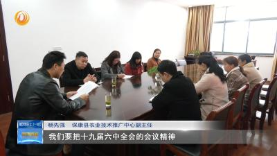 【深入学习贯彻落实十九届六中全会精神】保康：培育壮大龙头企业  做大做强茶叶品牌