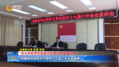 【深入学习贯彻落实十九届六中全会精神】保康县林业局学习党的十九届六中全会精神