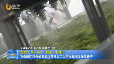 【跑好“第一棒” 冲刺“开门红”】首条国际领先的智能化茶叶加工生产线在湖北保康投产