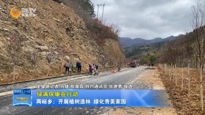 【绿满保康在行动】两峪乡：开展植树造林  绿化秀美家园