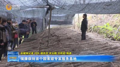 保康获批首个国家级专家服务基地