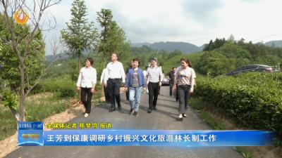 王芳到保康调研乡村振兴文化旅游林长制工作