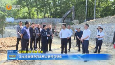 王杰检查督导河东环山路项目建设