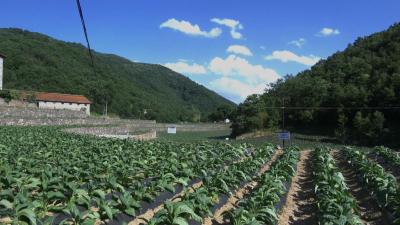 【寻找乡土名匠  传承工匠精神】陈勇茂：烤出新生活   奔向富裕路