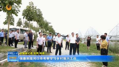 保康到老河口市考察学习乡村振兴工作