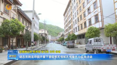 胡志芳到龙坪镇开展下基层察民情解民忧暖民心实践活动