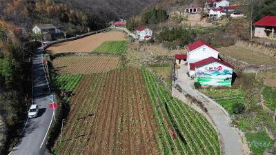 【奔跑新征程 建功新时代】保康：开展深翻冬炕  孕育丰收希望