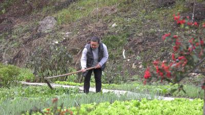 【建功先行区 奋斗在一线】鲁兴凤：“家庭农场”带领村民驶入致富快车道