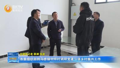 市委组织部到马桥镇中坪村调研党建引领乡村振兴工作