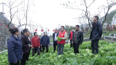 【深入学习贯彻党的二十大精神·二十大报告在基层】农业技术进农家  宣讲助农两不误