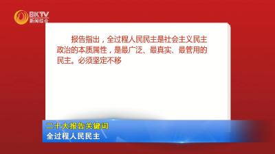 【二十大报告关键词】之五：全过程人民民主