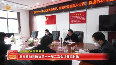 王杰参加县政协第十一届二次会议分组讨论