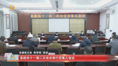 县政协十一届二次会议举行召集人会议