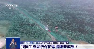 保护生物多样性 我国生态系统保护取得哪些成果？