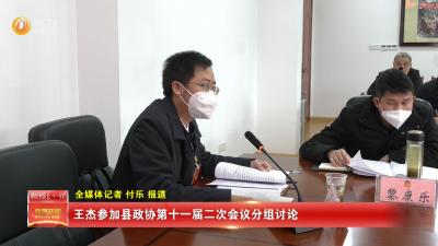 王杰参加县政协第十一届二次会议分组讨论